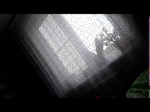 Начала смотреть онлайн