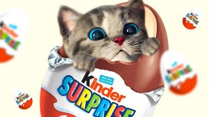 Приключенческие образовательные игры Little Kitten для дошкольников — играйте весело Геймп