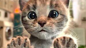 Приключение милого котенка и маленькой кошечки - Веселые игры по уходу за домашними животн