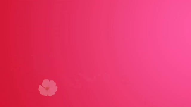 Екатерина, Катюша, поздравляю! Песни поздравление с днём рождения, праздником, достижением, событием смотреть онлайн