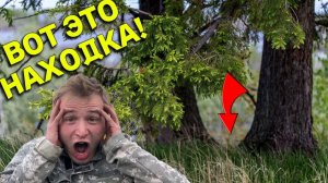 Везуха на ПЛЯЖЕ, Наткнулись на ДЕНЕЖНОЕ Место под Деревом, Куча Находок, аж УСТАЛ Копать!!!