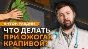 Антон Равдин. Бруксизм, польза бега для детей, «опасность» ягод, ГОСТ на парикмахерские услуги