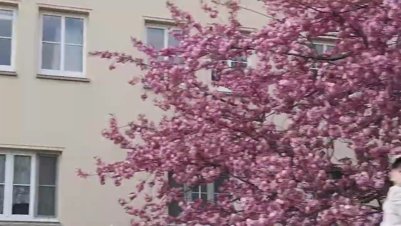 . «Просто хороший день. Делюсь настроением с вами!» смотреть онлайн