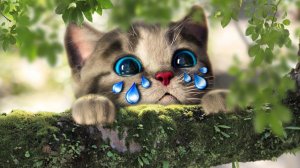 Развивающие игры «Маленький котенок для дошкольников» — играйте в веселую игру «Милый коте