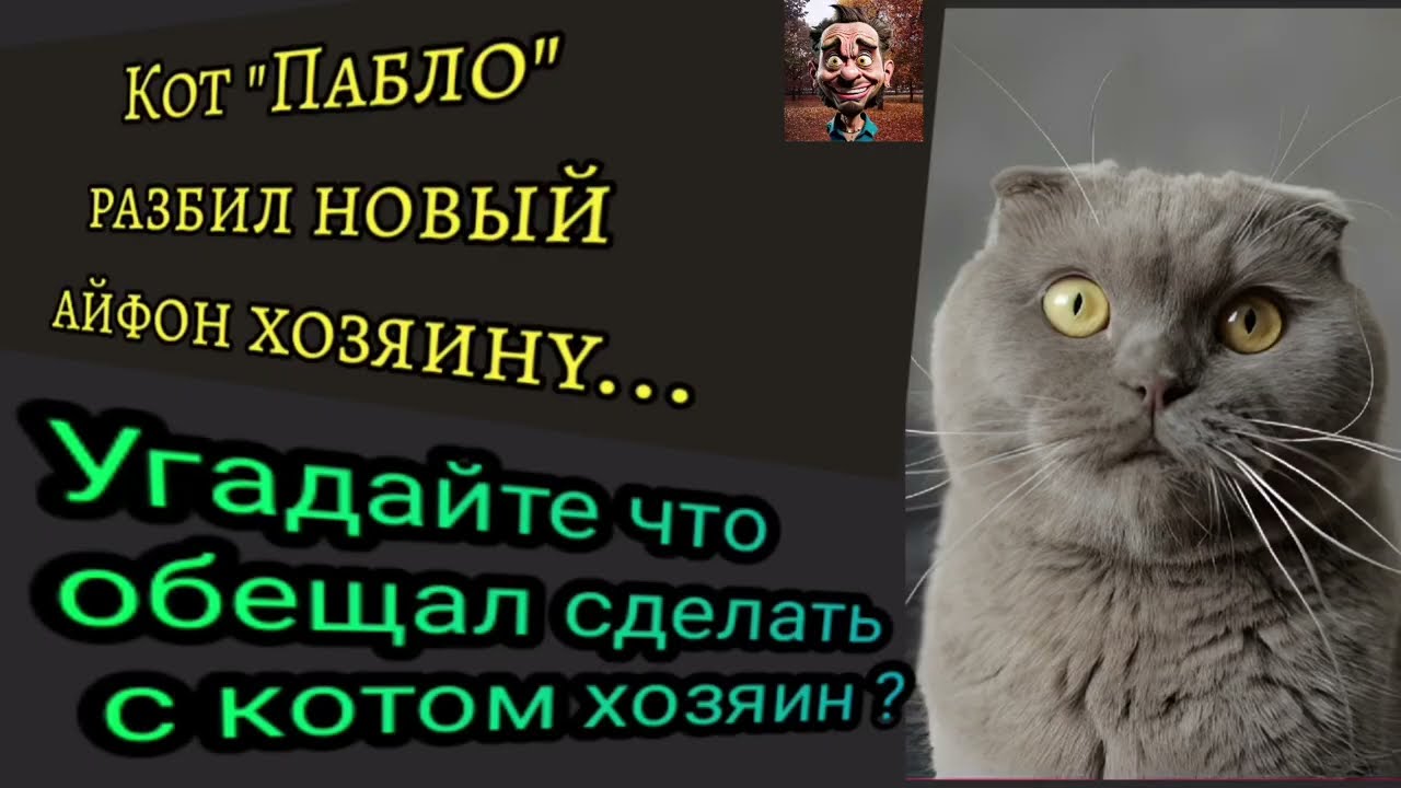 Анекдот. Кот и разбитый Айфон. смотреть онлайн