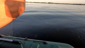 Рыбалка на КОЛЬЦО