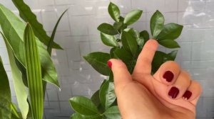 НАДО ДЕЛАТЬ ЗАПАСЫ. 10 ПАЧЕК САХАРА И БАТОНЧИКИ КОТОРЫЕ ЭНЕРГИЯ, НУ ДЛЯ ЭНЕРГИИ ТАКИЕ С ХЛОПЬЯМИ