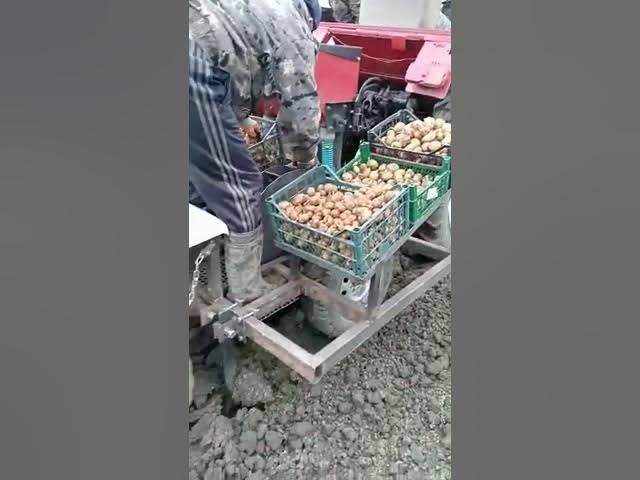 #самодельнаякартофелесажалкапервоеиспытание смотреть онлайн