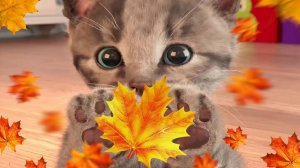Приключенческие развивающие игры Little Kitten для дошкольников - играйте весело, игровой