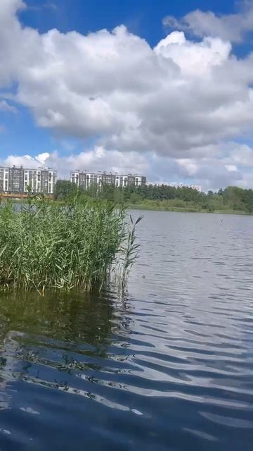 MOV_20260711_192855_548 MOV_20260711_192855_548