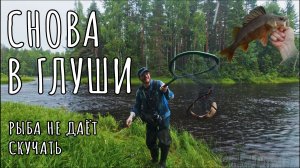 Снова в глуши. Рыба не даёт скучать!