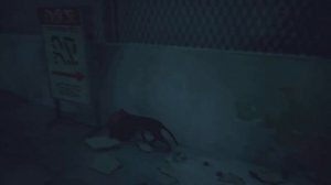 Маленький и беззащитный коти в большом городе! Прохождение stray №1