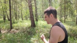 Режим шахматиста