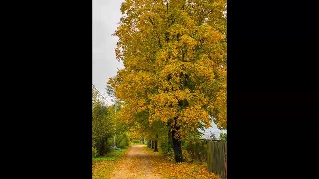 Сюткин Валерий - Август смотреть онлайн