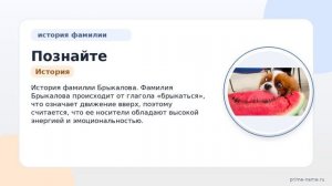 Познайте происхождение, историю и значение фамилии Брыкалова: полное склонение и интересные факты.