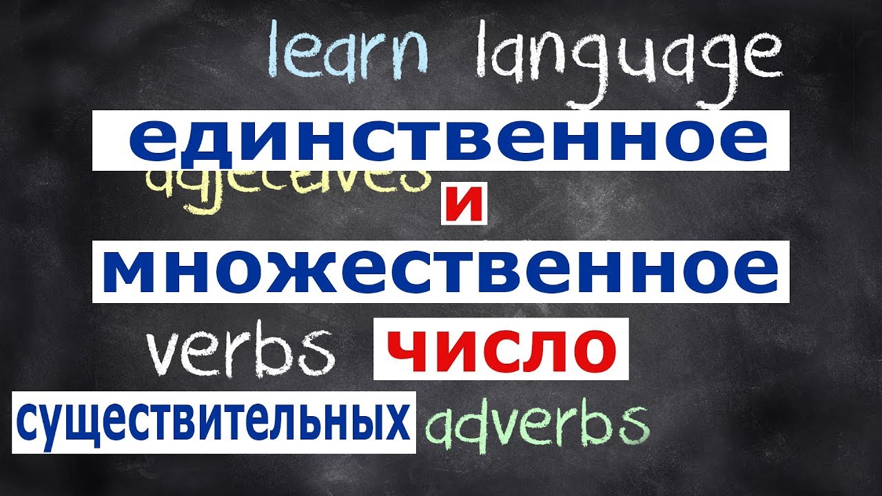 Единственное и множественное число существительных в английском языке смотреть онлайн