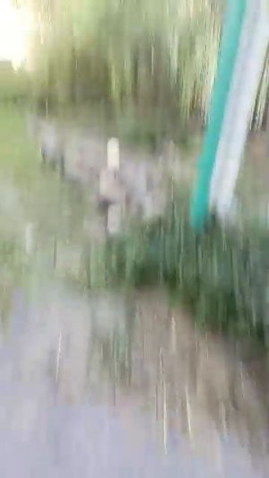 прогулка