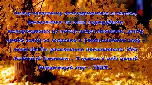 Признание в Любви | 05-я видеоколлекция SMS о Любви - Меланхолическая