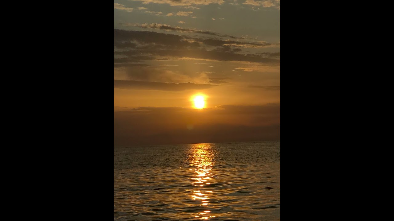 reflection time - DOFRES смотреть онлайн