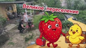 Великое переселение 11.07.2026