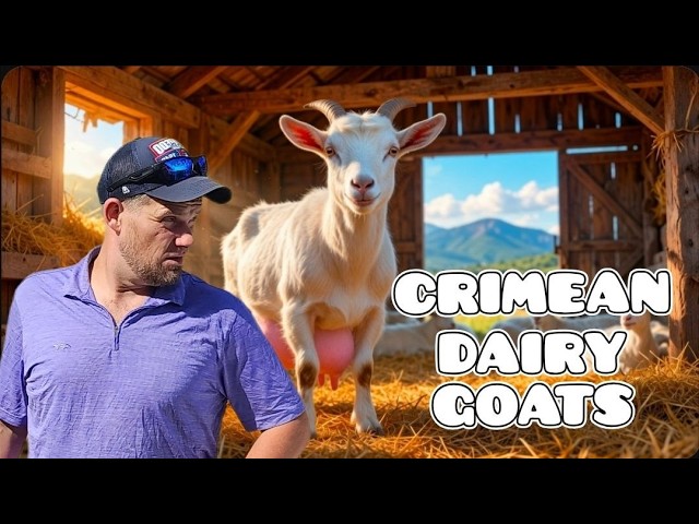 A Taste of Rural Crimea | Goat Farm Visit | Ep. 4 смотреть онлайн