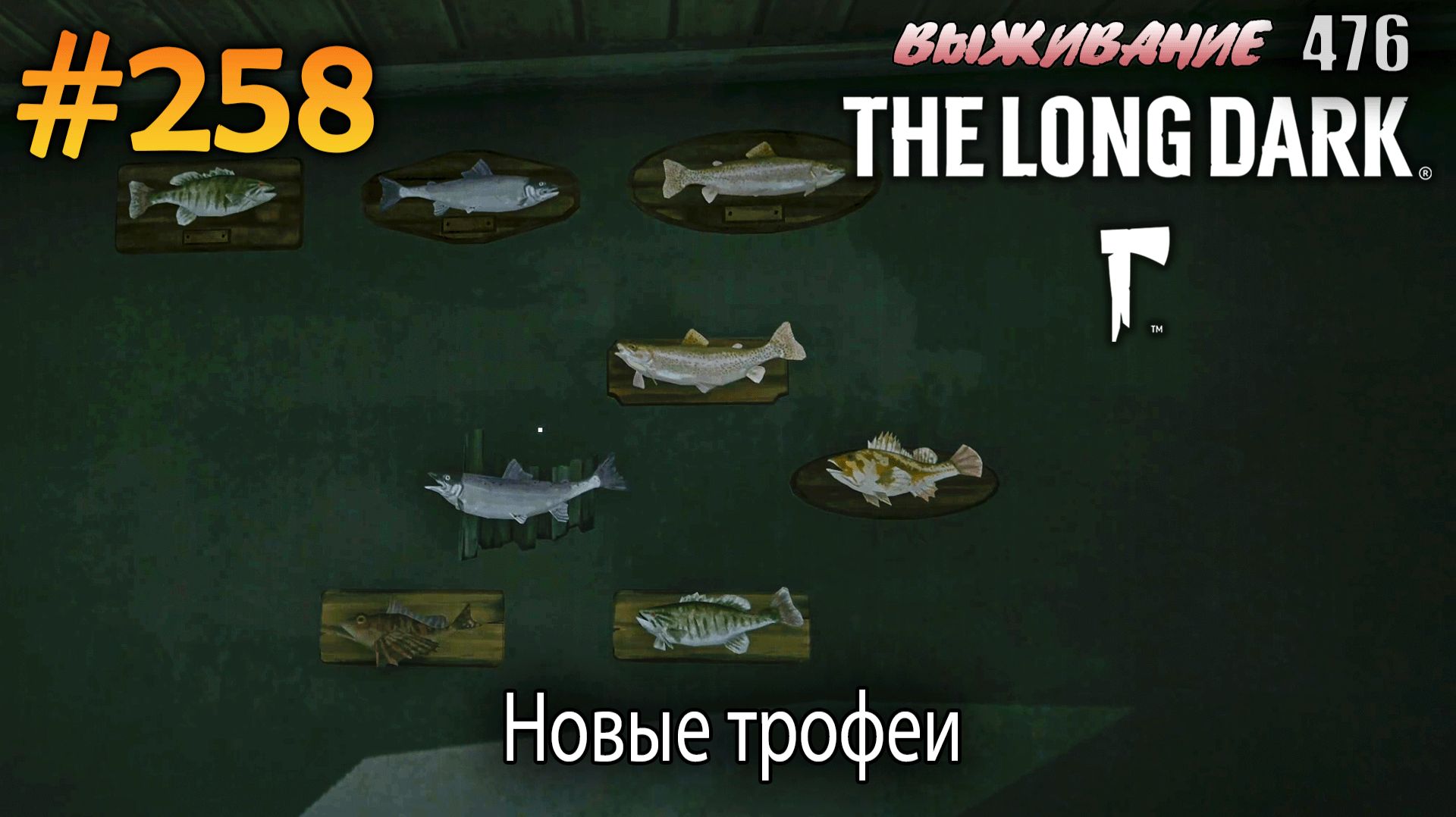 Новые трофеи | The Long Dark #258 смотреть онлайн