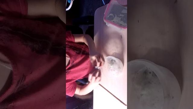 Неделя влогов первый день простите в конце в камере батарея кончилась смотреть онлайн