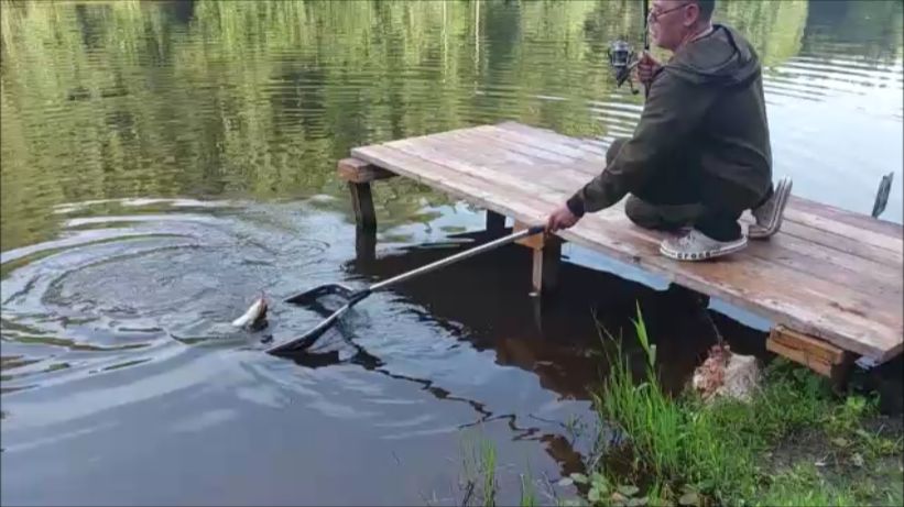 Утро на верхнем водоёме. Клёвое место, Лосиный остов. смотреть онлайн