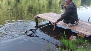 Утро на верхнем водоёме. Клёвое место, Лосиный остов.