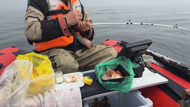 БАТЯ В ШОКЕ! Разнообразие рыбы побило все рекорды (Погода просто сказка) смотреть онлайн