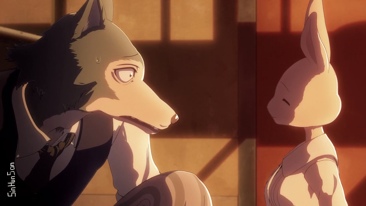 Легоси и Хару встречаются. Выдающиеся звери / Beastars 1 серия смотреть онлайн