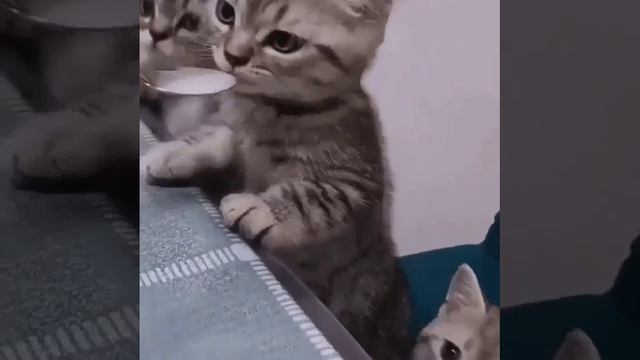 БЫВАЕТ смотреть онлайн