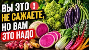 Вы это НЕ САЖАЕТЕ, но вам это НАДО! ТОП-15 необычных овощей