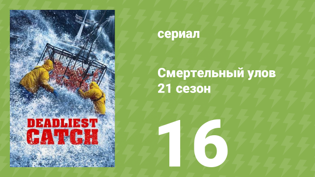 Смертельный улов 21 сезон 16 серия (документальный сериал, 2025) Смертельный улов 21 сезон 16 серия (документальный сериал, 2025)