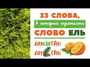 33 слова, в которых спряталось слово ЕЛЬ. Угадаешь?