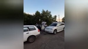 Какие-то крысы с канистрами пролезли без очереди на АЗС в Хабаровском крае. 

Их никто не остановил,