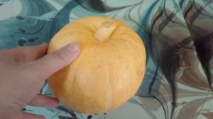 Кабачок цукини необычной формы.