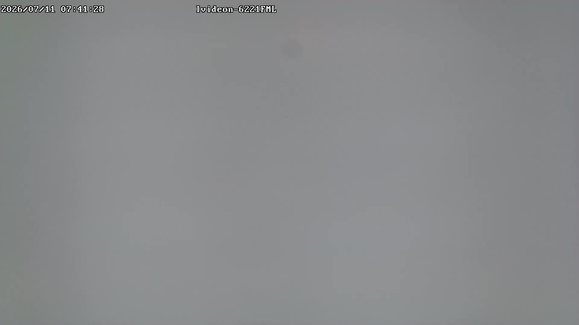 LIVE: channel43489494 смотреть онлайн