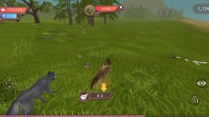 Прокачка КРЕМОВКИ Wildcraft-Gameplay wildcraft часть1
