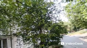 1000189227.mp4 По пути домой