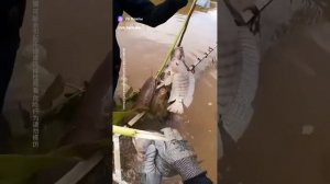 vkclips_20260711060150