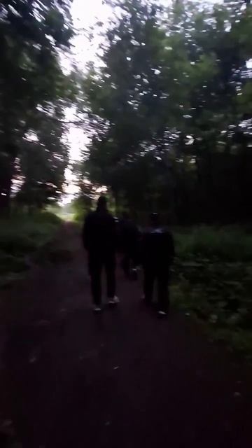 Дружина