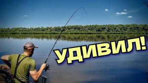 Не ожидал ТАКОГО от БЮДЖЕТНОГО фидера! Рыбалка на фидер 2026.
