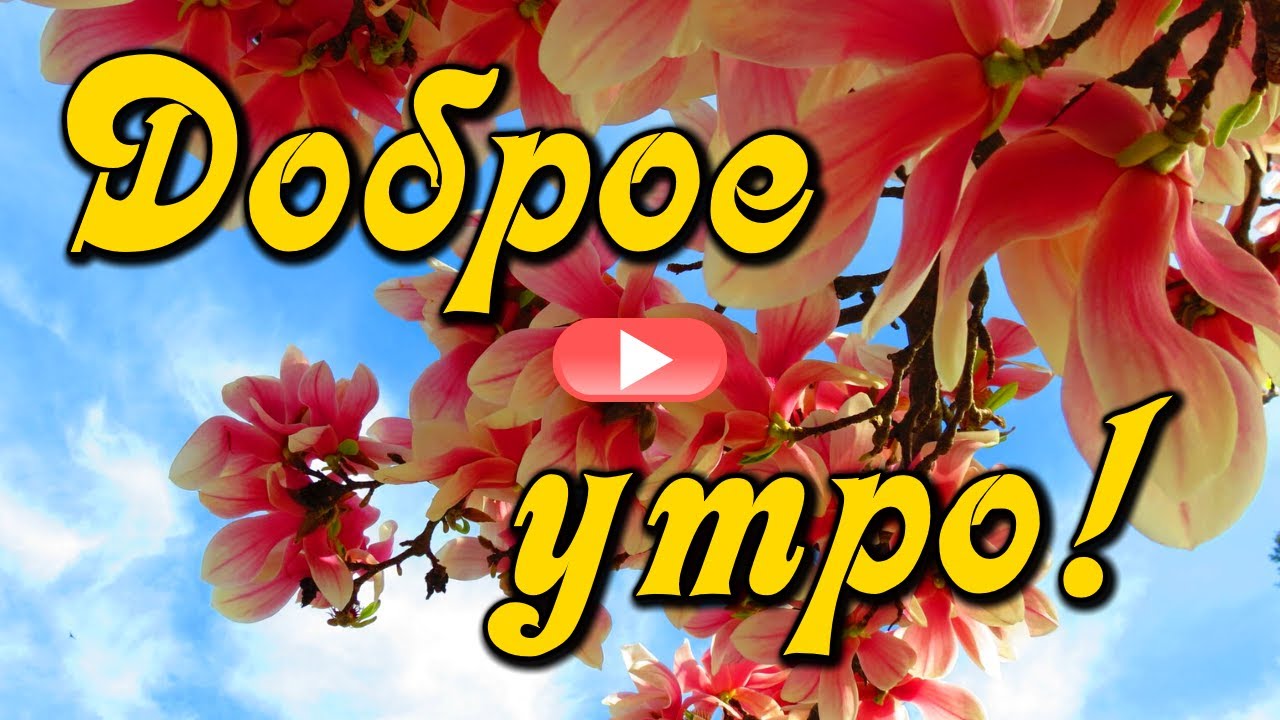 Доброе утро! Пусть вашу душу трогает весна! Красивая музыкальная открытка С Добрым утром. смотреть онлайн