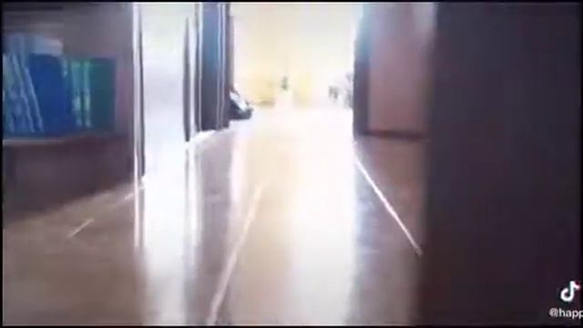 Брайн мапс/тигра котик создан убивать смотреть онлайн