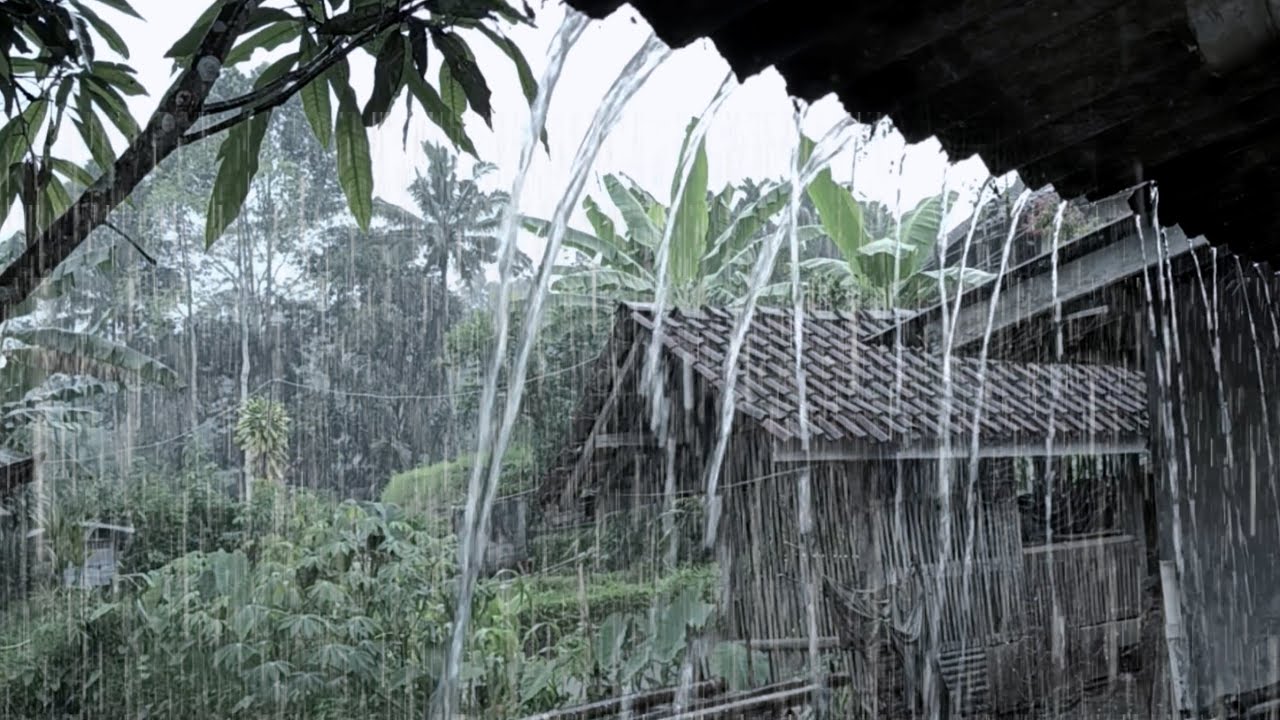 Heavy Rain on Metal Roof 🌧️ Sleep Instantly | Anxiety Relief & Deep Sleep смотреть онлайн