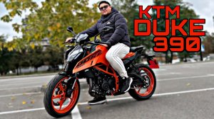 Я КУПИЛ KTM DUKE 390! ВОЛК В ЛИТРОВОЙ ШКУРЕ!