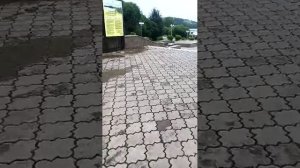 стрим в городе всем привет