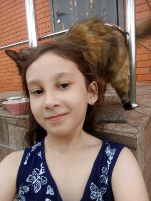 сирена