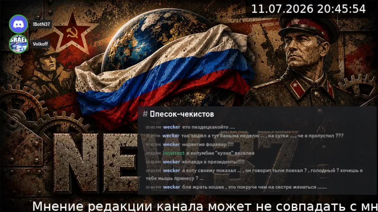 LIVE: NEW 37 смотреть онлайн